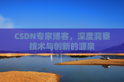 CSDN专家博客，深度洞察技术与创新的源泉